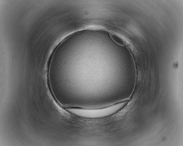 X0000099291430200805161315