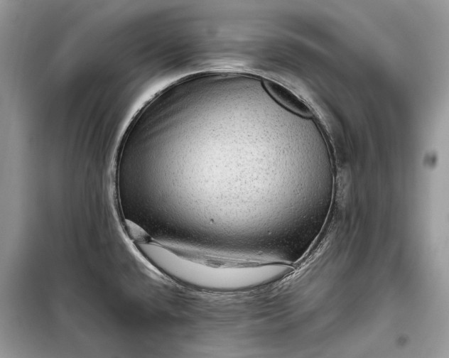 X0000099291432200805161315