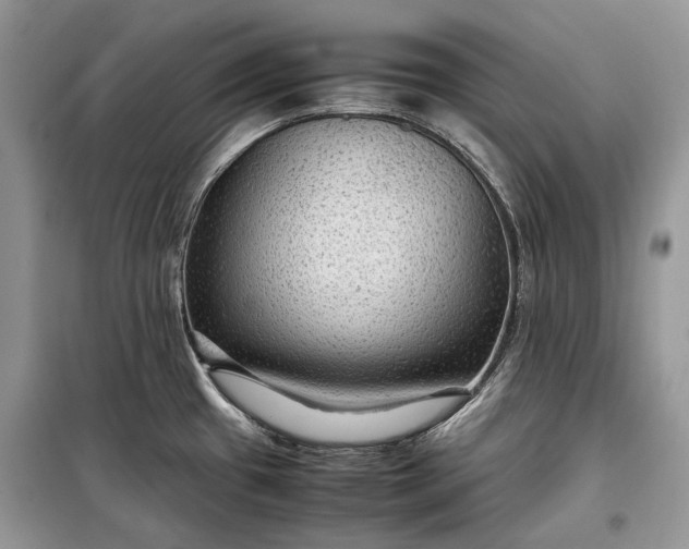 X0000099291433200805161315