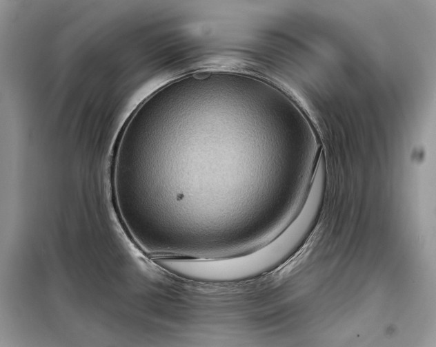 X0000099291434200805161315