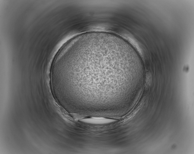 X0000099291435200805161315