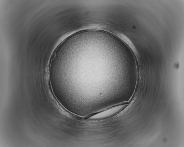 X0000099291436200805161315