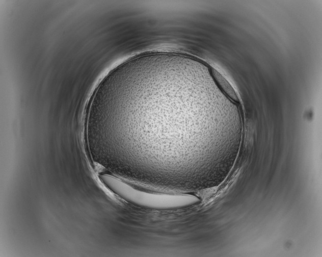 X0000099291437200805161315