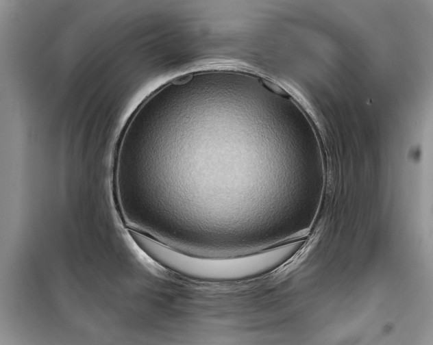 X0000099291438200805161315