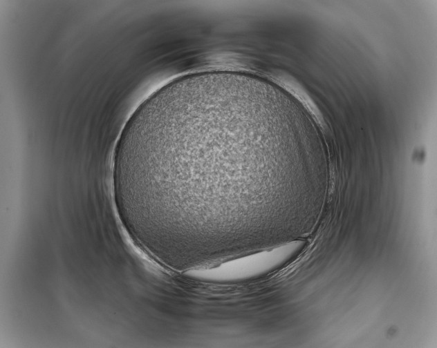 X0000099291439200805161315