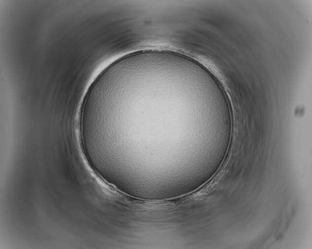 X0000099291440200805161315