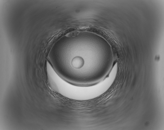 X0000099291441200805161314