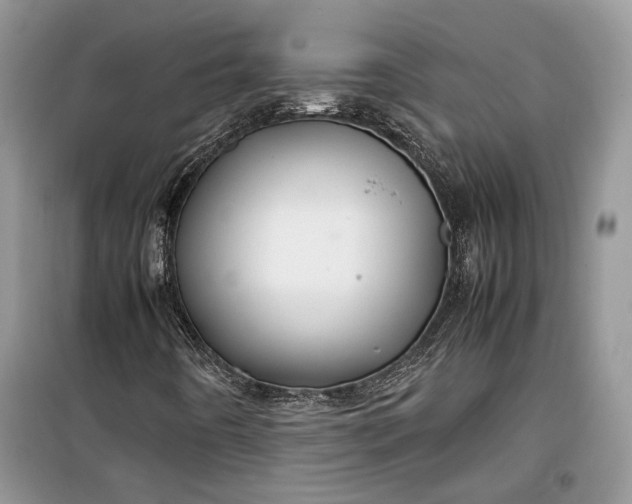 X0000099291442200805161314