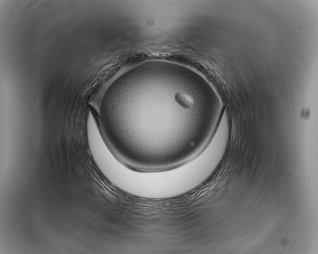 X0000099291444200805161314