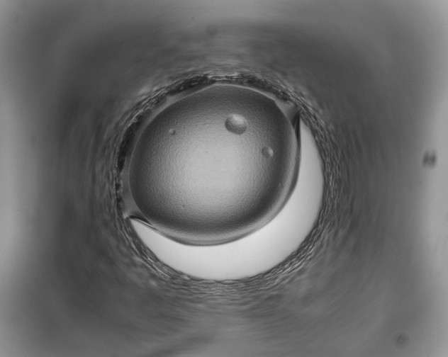 X0000099291445200805161314