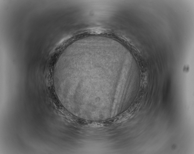 X0000099291446200805161314