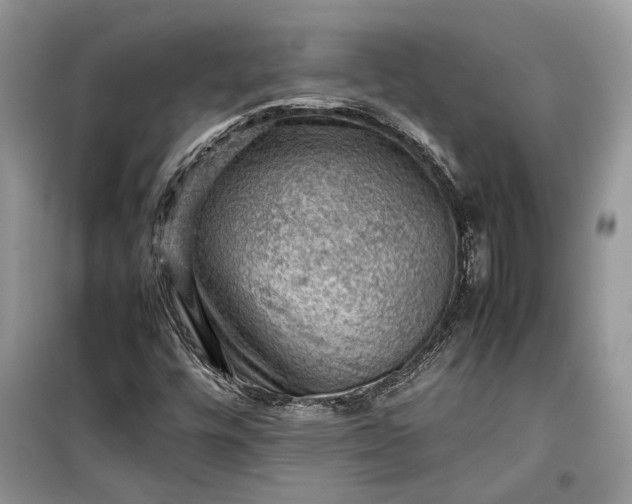 X0000099291448200805161314