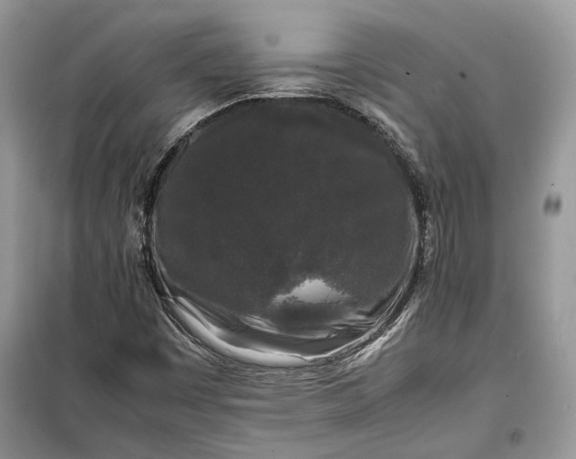 X0000099291449200805161314