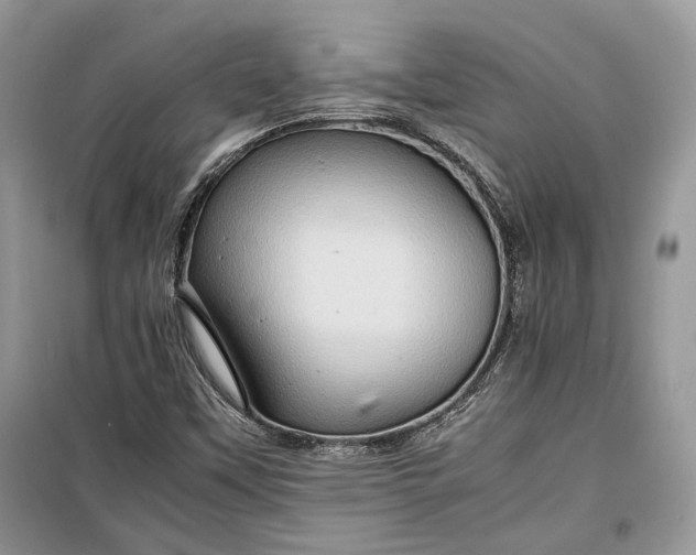 X0000099291451200805161314