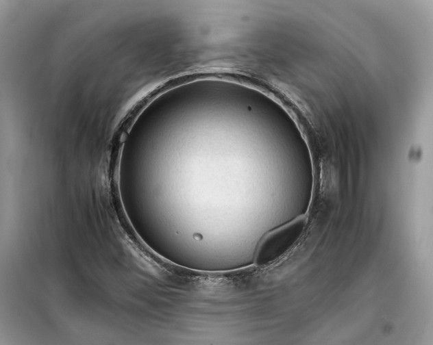 X0000099291452200805161314