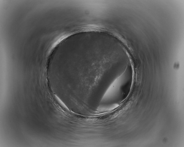 X0000099291453200805161314