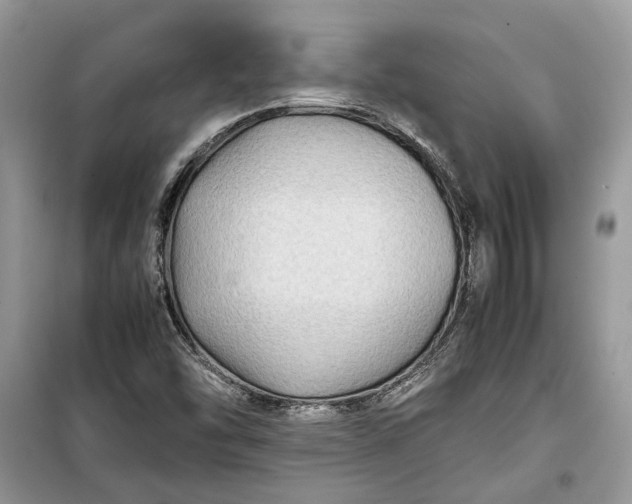 X0000099291454200805161314