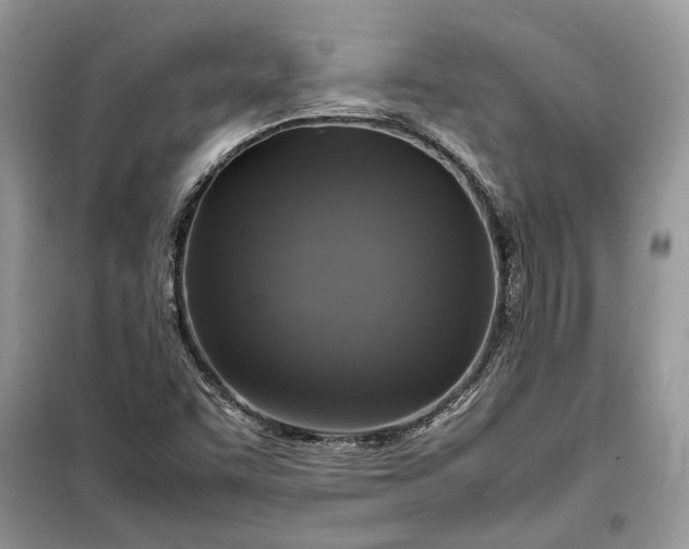 X0000099291455200805161314