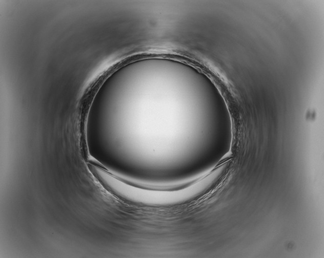 X0000099291456200805161314