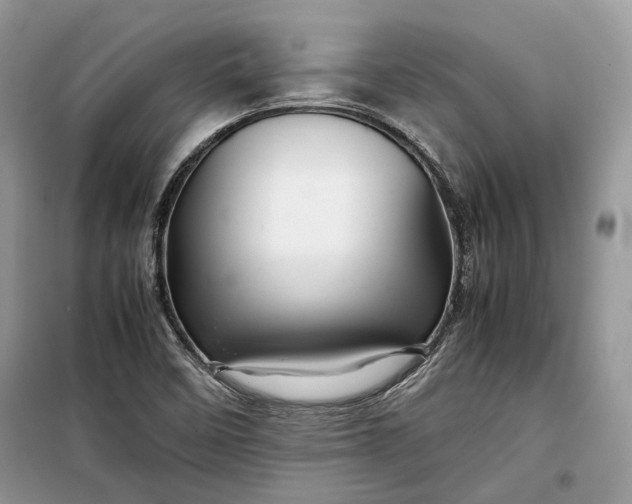 X0000099291458200805161314