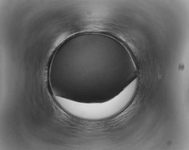 X0000099291459200805161314