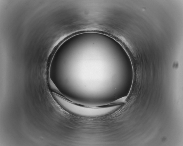 X0000099291460200805161314