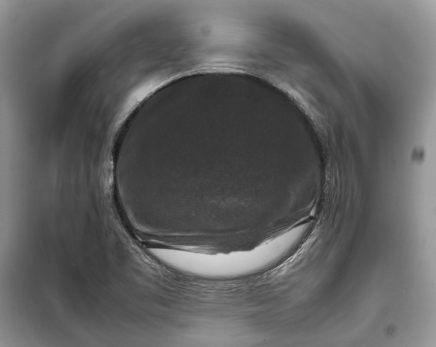 X0000099291461200805161314