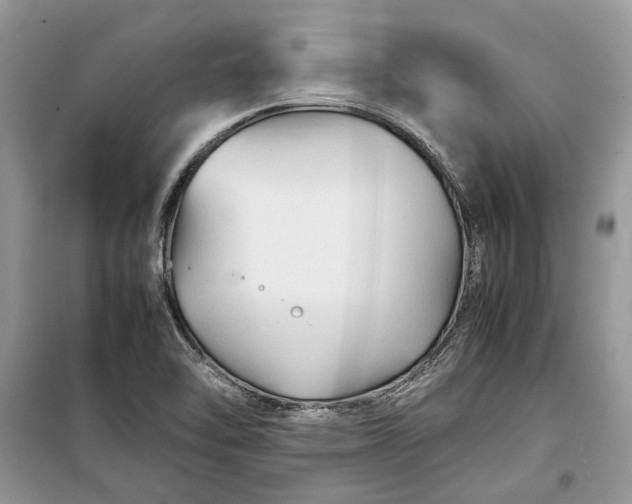 X0000099291462200805161314