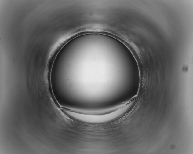 X0000099291464200805161314