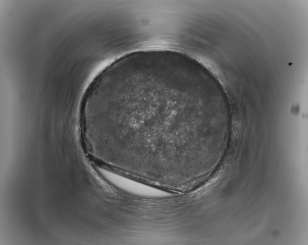 X0000099291469200805161314