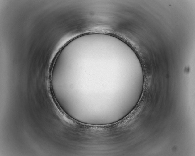 X0000099291470200805161313