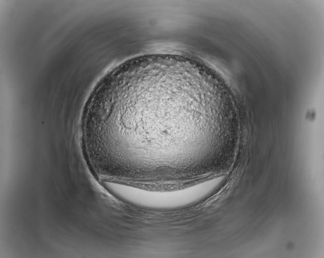 X0000099291471200805161313