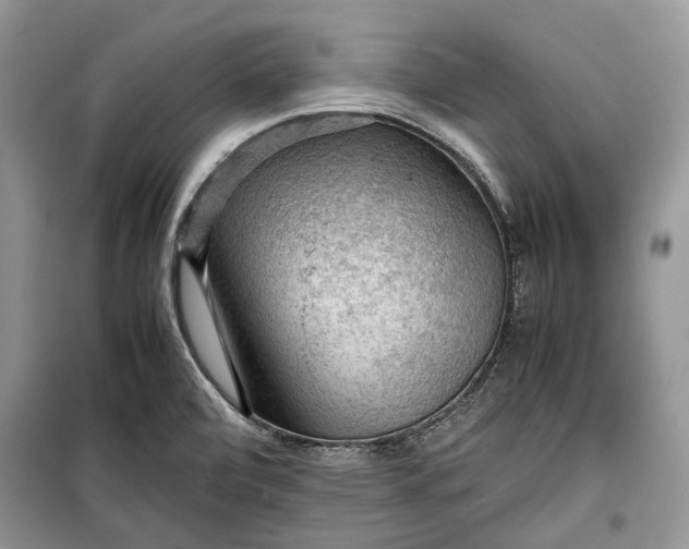 X0000099291472200805161313