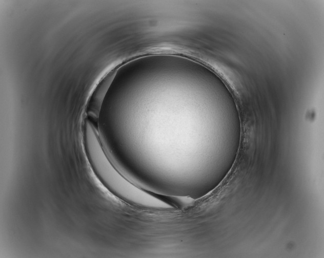 X0000099291476200805161313