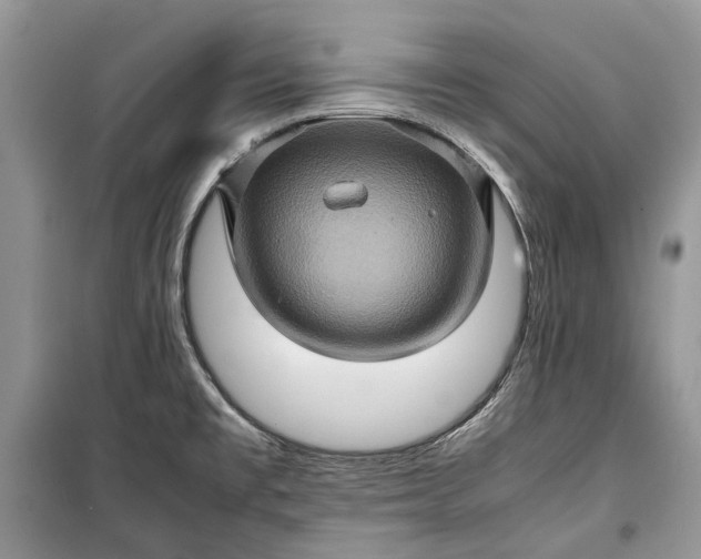 X0000099291477200805161313