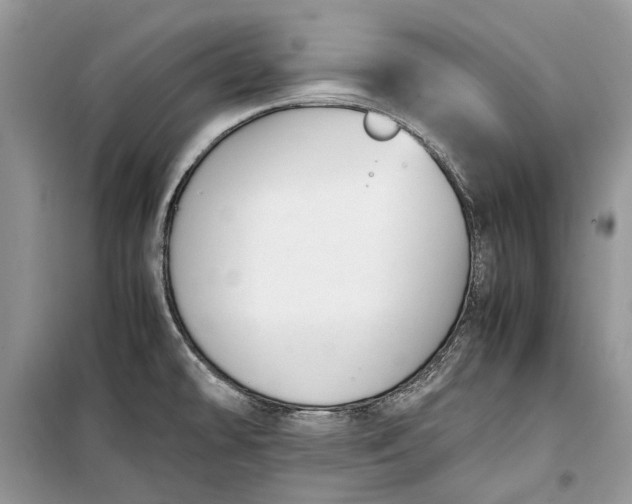 X0000099291478200805161313