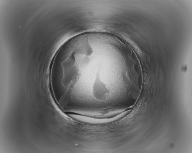 X0000099291479200805161313