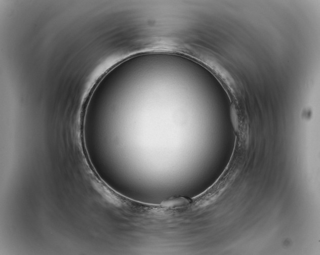 X0000099291480200805161313