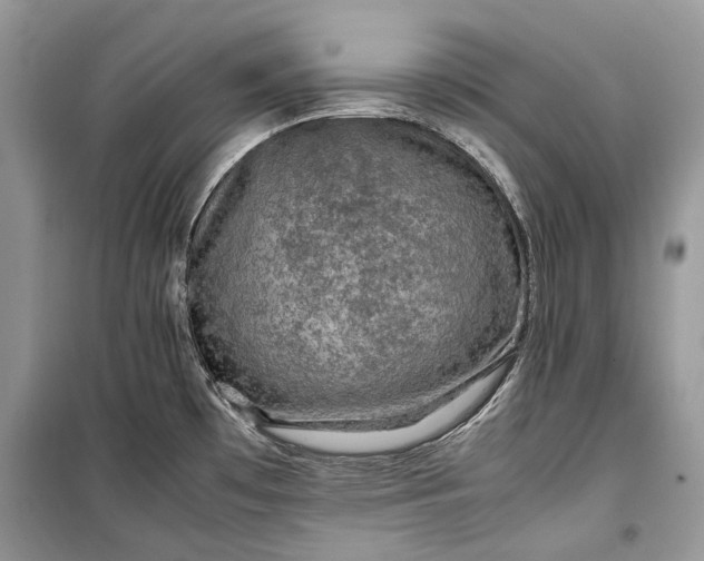 X0000099291481200805161313