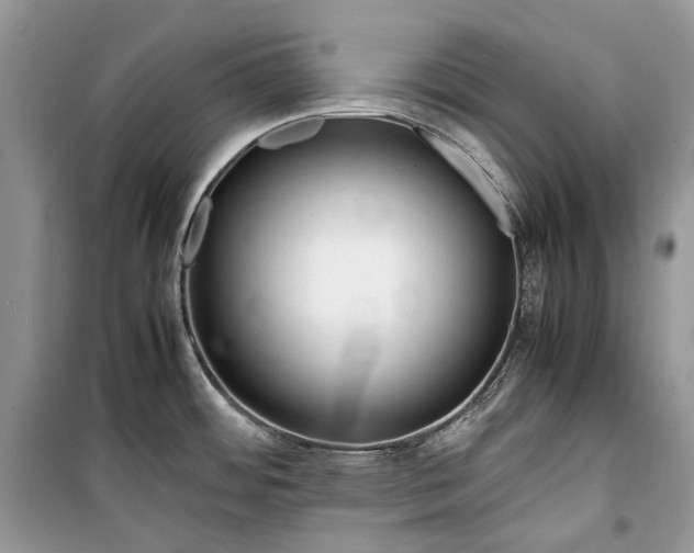 X0000099291484200805161313