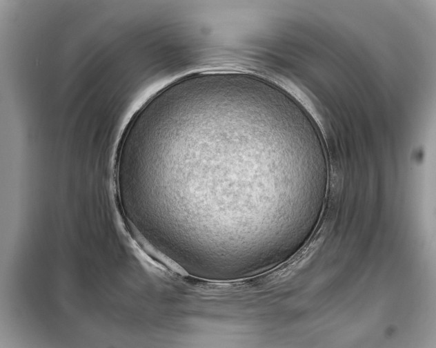 X0000099291485200805161313