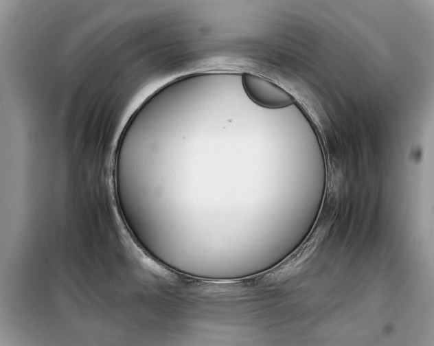 X0000099291486200805161313