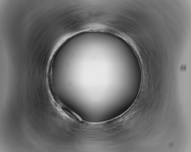 X0000099291488200805161313