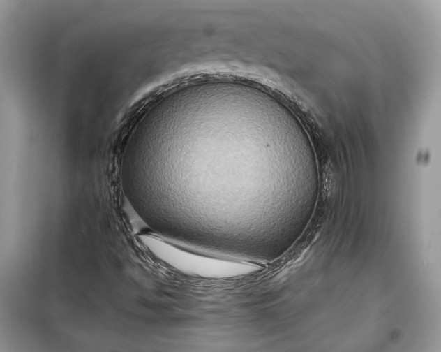 X0000099291494200805161313