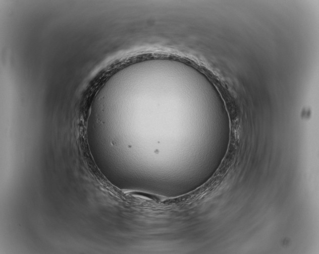 X0000099291495200805161313