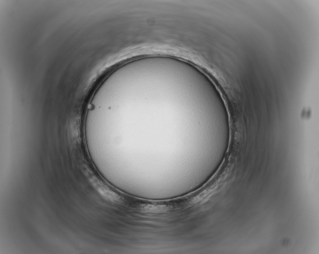 X0000099291499200805161313