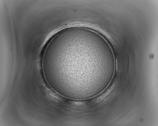 X0000099291501200805161313