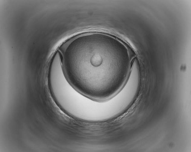 X0000099291504200805161313