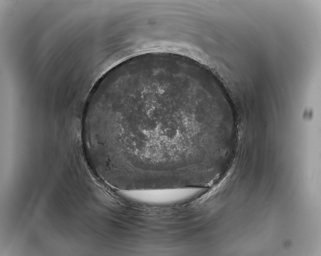 X0000099291505200805161313