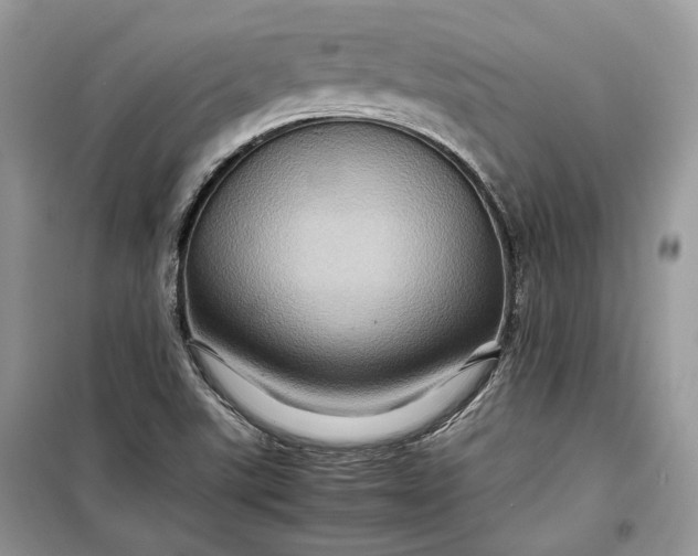 X0000099291507200805161313